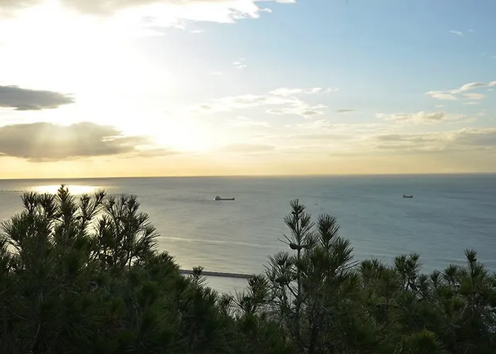 Don Curro Málaga